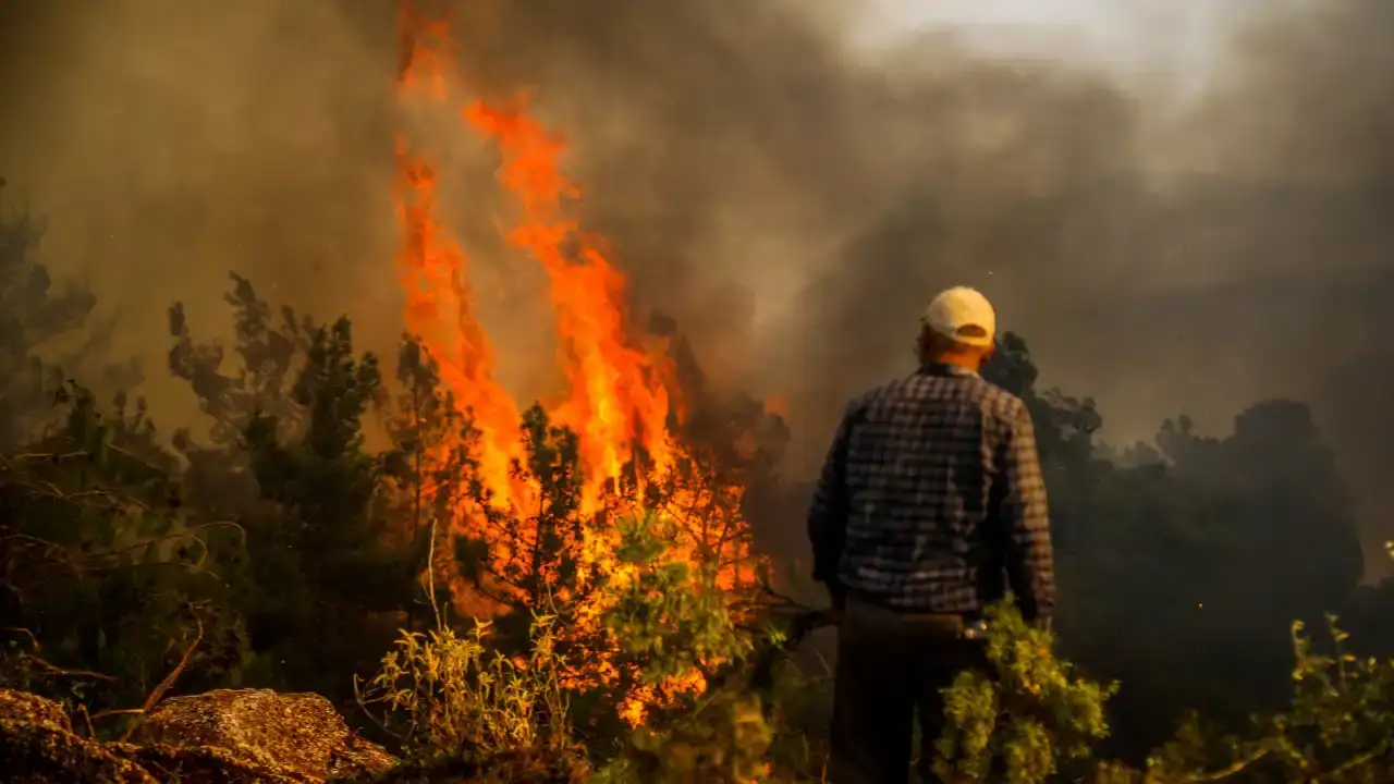Antalya’nın Ormanları Tehdit Altında, Yangınlar Artıyor 3